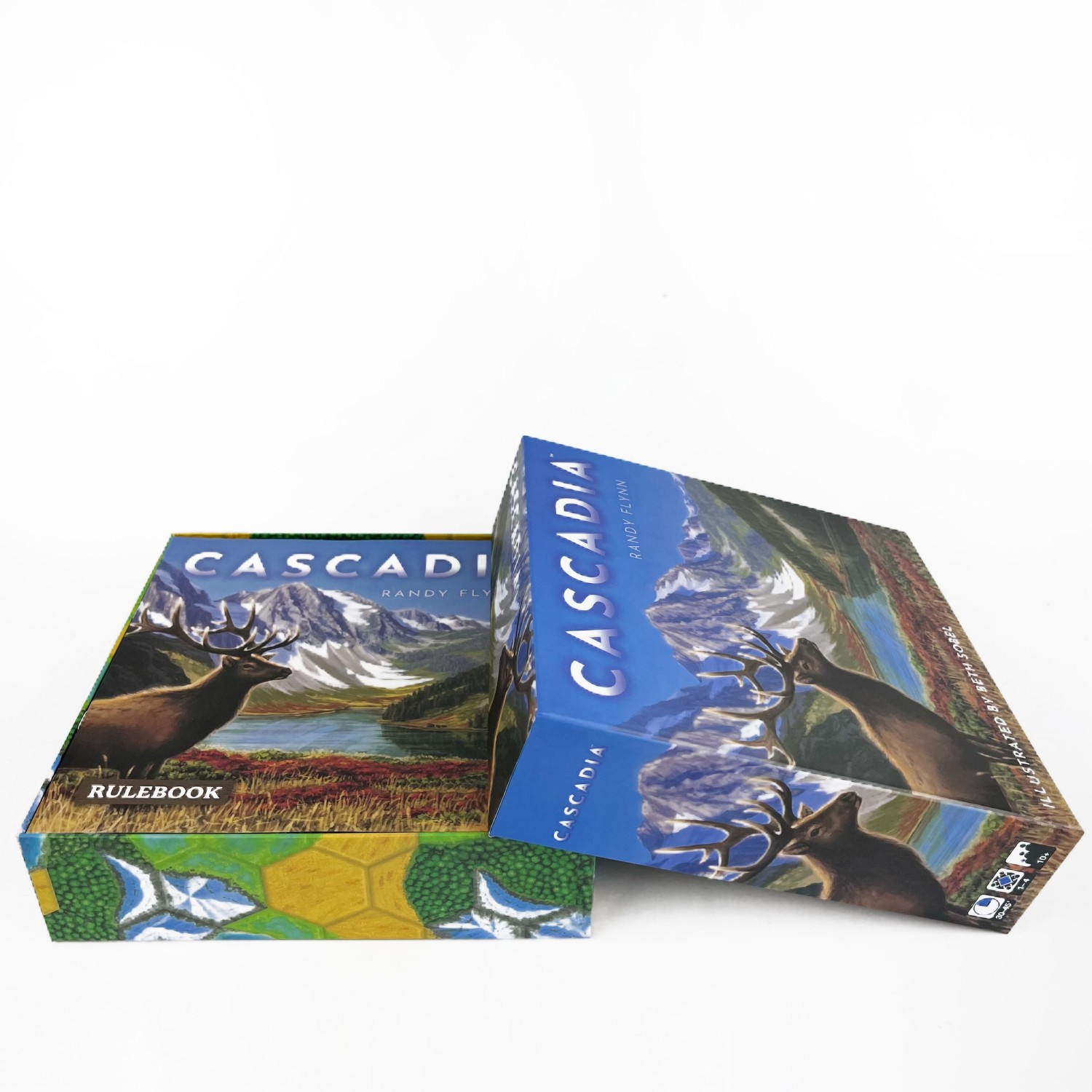 Gra planszowa Cascadia |   Str – Board Game Harmonies recenzja i cena