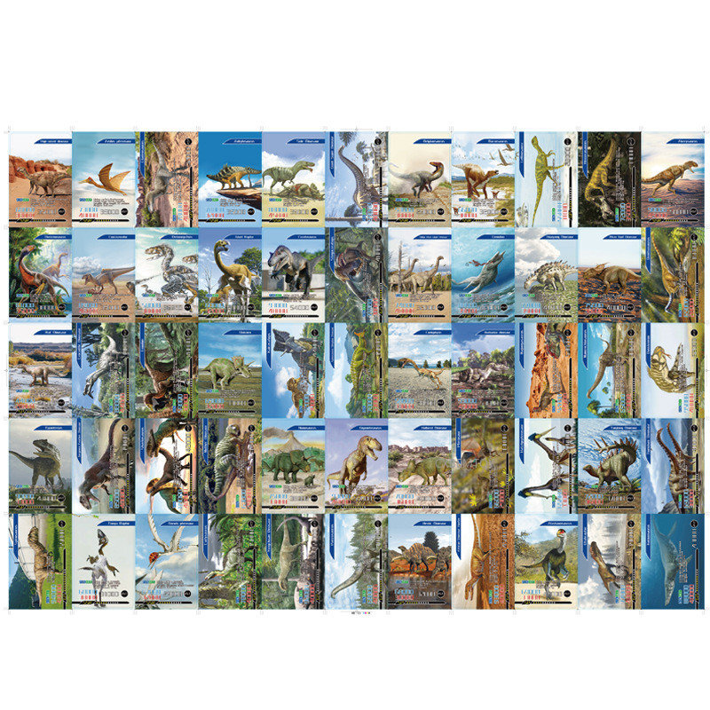 20 sztuk 55 sztuk angielski di – Board Game Zoo recenzja i cena